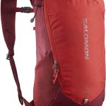 Salomon Trailblazer 10 rugzak, 10 liter, uniseks, voor wandelen, veelzijdigheid, gebruiksgemak, comfort en lichtheid : Amazon.nl: Sport & outdoor